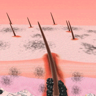 EL AGUA CON EL QUE NOS DUCHAMOS